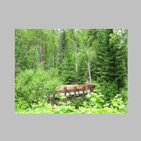 Mom on Bridge to Pulaski Trail.jpg